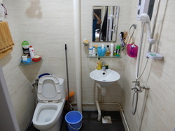 Blk 109 Hougang Avenue 1 (Hougang), HDB 3 Rooms #217968741